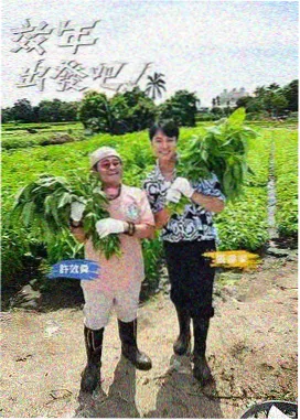 观看顺序建议示意